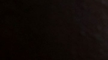 Vino