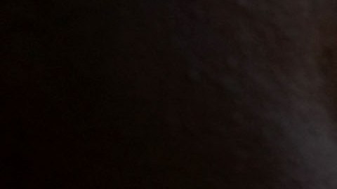 Vino