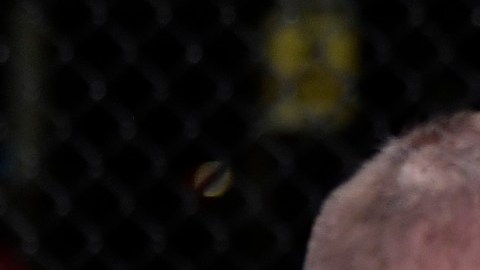 Petr Yan propina brutal rodillazo a Aljamain Sterling en la UFC