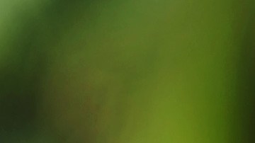 Comprar un bitcoin contamina, y mucho. Como tener 60 autos, según Bank of America.