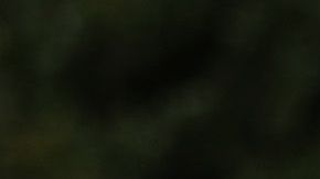 Rich Lindgren coloca 12 banderas en un memorial por los fallecidos.