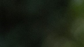 Harry y Meghan Markle