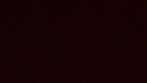 Héctor Herrera perdió a su madre a causa de COVID-19.