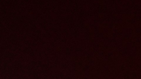 Héctor Herrera perdió a su madre a causa de COVID-19.