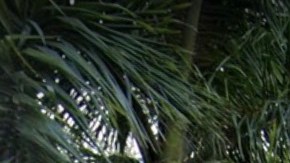 Exteriores del hotel Marriott de Miami donde se ha producido el tiroteo.