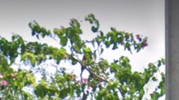 Se dio la alerta del fuego sobre las 2am en una casa situada en la 2320 SW 4th St.