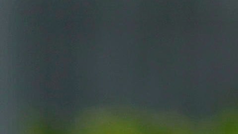 Joan Laporta será el máximo dirigente del club azulgrana nuevamente.