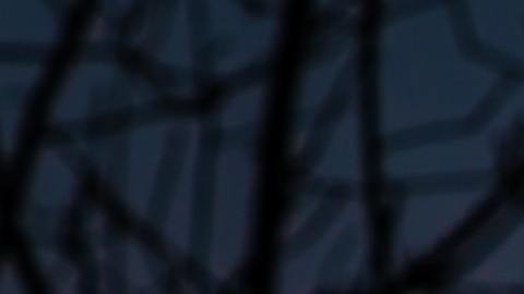 Afectaciones de la luna a cada signo