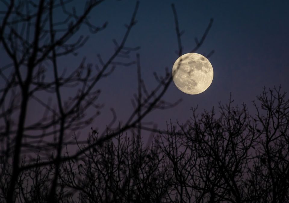 Cómo afectará la luna llena en Libra del 28 de marzo a cada signo