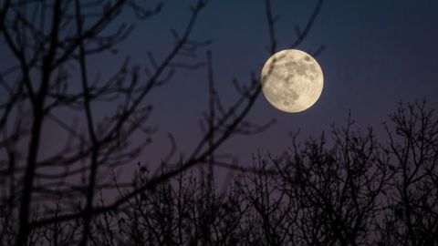 Afectaciones de la luna a cada signo