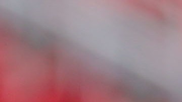 pelea piojo herrera dos santos