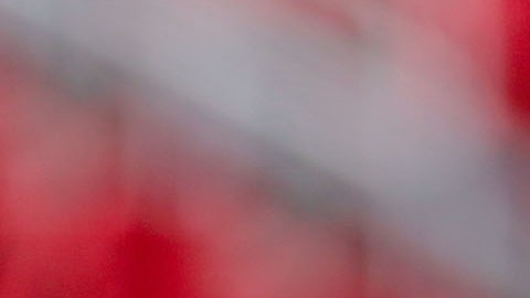 pelea piojo herrera dos santos