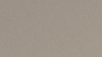 Persona camina con su perro