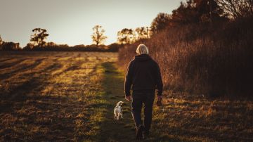 Persona camina con su perro