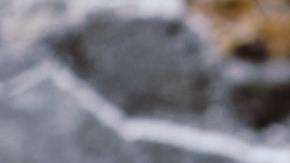 Soñar con brujas puede ser positivo, pero depende del contexto.