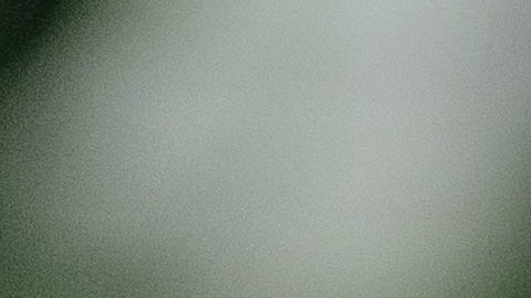 Elon Musk recomendó el uso de la aplicación de mensajería Signal en lugar de WhatsApp