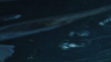 la ansiedad y los signos zodiacales