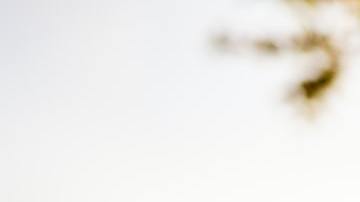 Ritual de los angeles