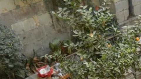 Una excavación en la Catedral de Santiago dejó al descubierto restos de un muro inca.