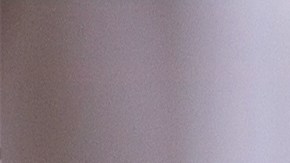 Realizan con éxito el primer trasplante de hígado de cerdo a un paciente humano