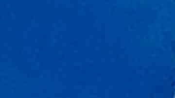 Diego Simeone, técnico del Atlético de Madrid.