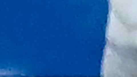 Diego Simeone, técnico del Atlético de Madrid.