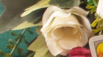 El tarot y la astrología tienen coincidencias.