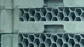 Luis Bañuelos supervisa y ayuda a John Wong. (Suministrada)