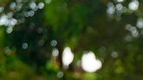 Fanny Escobar, una líder social en el noroeste de Colombia