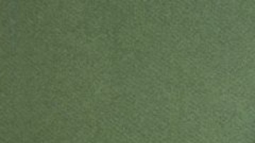 El origen del coronavirus