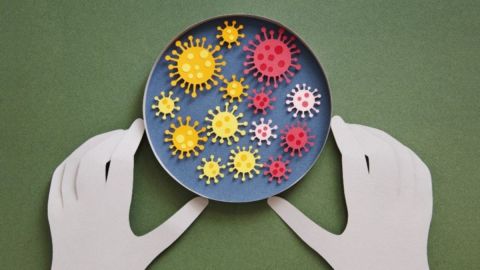 El origen del coronavirus