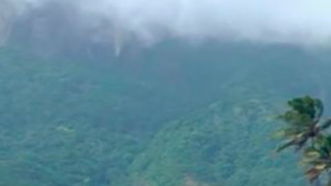 Millonario en el campo