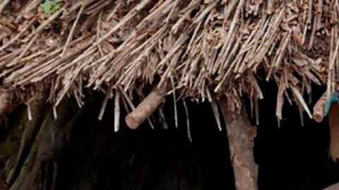 Tribu principe Felipe