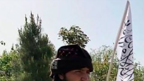 Talibanes