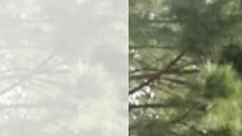 Karumi fue separada de su esposo Roberto y su bebé Allison.