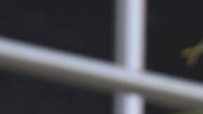 Anel Noreña, exesposa de José José.