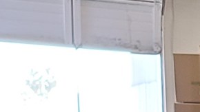 Anthony and Ronald Alcazar