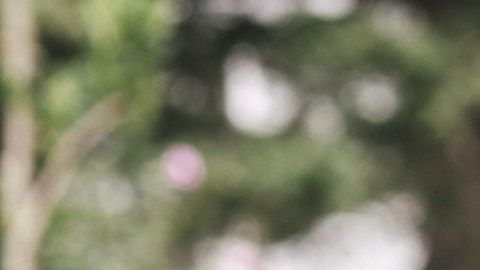 Parents carrying children piggyback outdoor