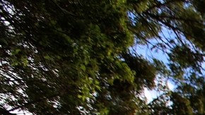 Iglesia Luz del Mundo