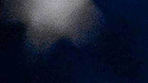 Biden presentó su agenda de gobierno al Congreso.