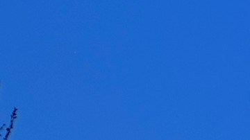 Capitolio de Estados Unidos