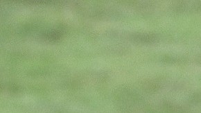 Vela juega su cuarta campaña en la MLS.