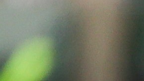 Maravilloso gol de Chicharito