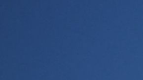 Activistas apoyan la estadidad de la capital de la nación, Washington D.C.