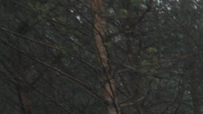 La limpieza y procesamiento de productos químicos tóxicos es costosa.