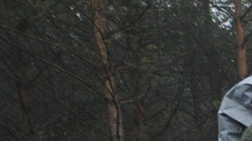 La limpieza y procesamiento de productos químicos tóxicos es costosa.