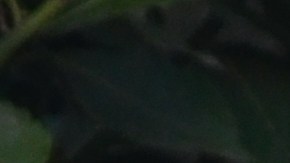 Verónica Aguayo junto a su hijo. (Suministrada)