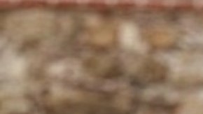 Dimitri Alexander Gutiérrez nació al comenzar la pandemia, en marzo de 2020. (Cortesía Ruby Janet Muñiz)