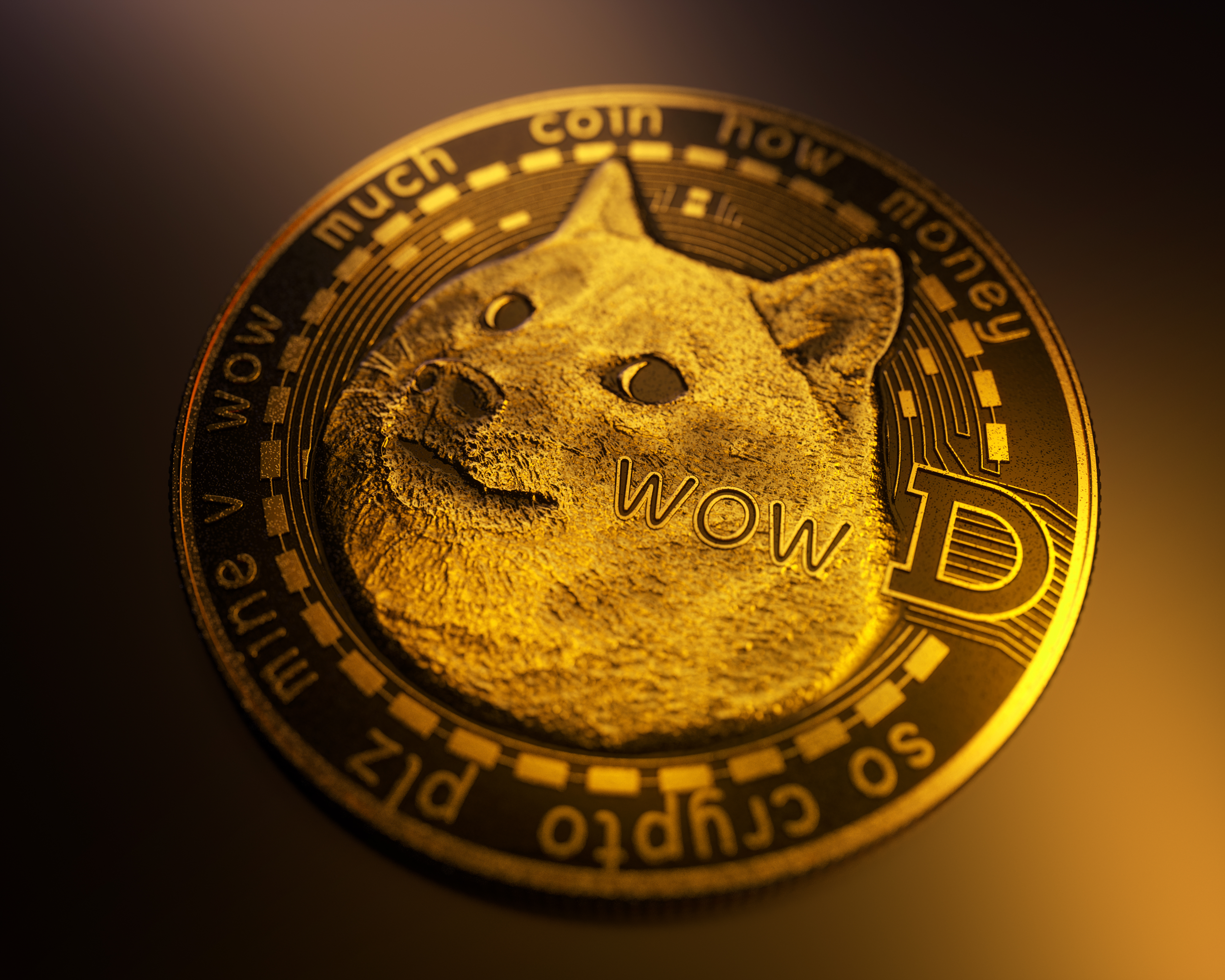 Co creador del Dogecoin vuelve a invertir en la criptomoneda para infundir  confianza en los usuarios - La Opinión
