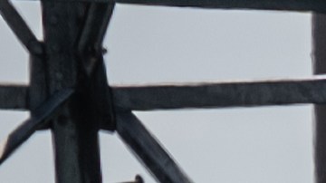 La escena de un tiroteo masivo en una instalación de FedEx en Indianapolis.